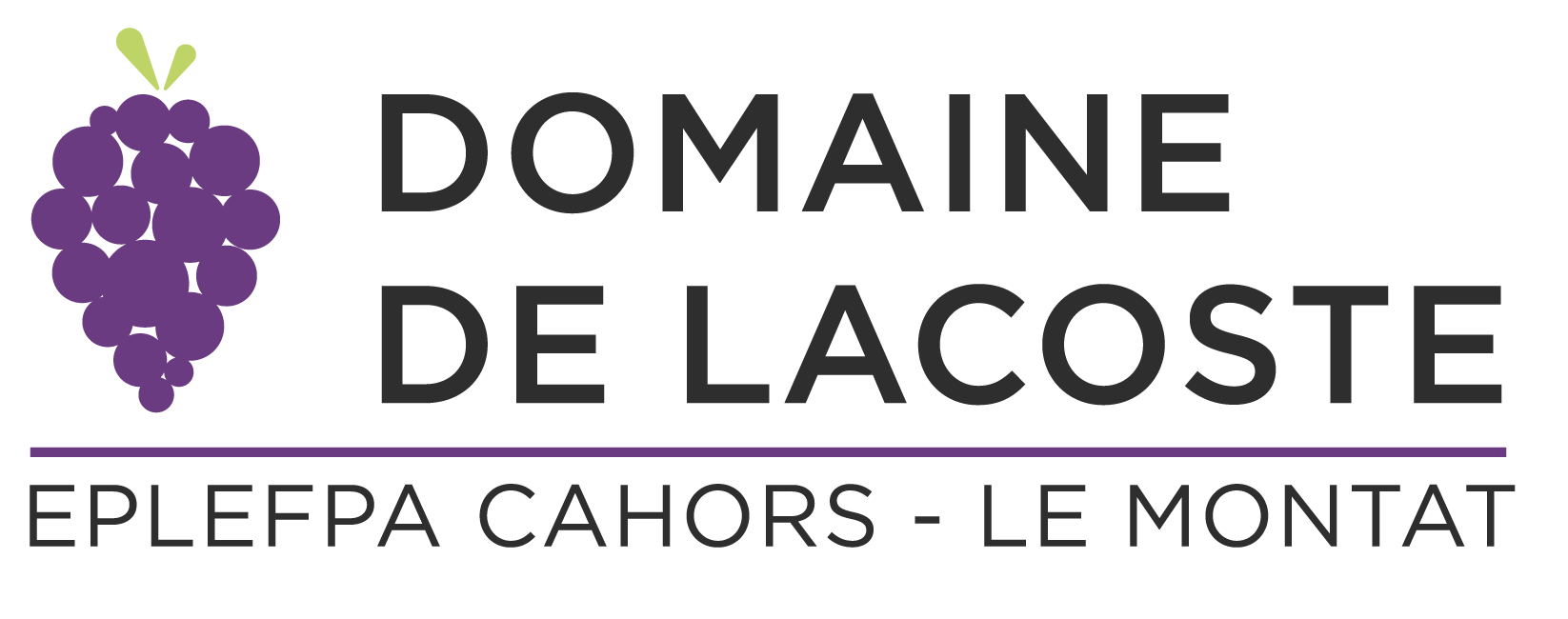 Domaine de Lacoste